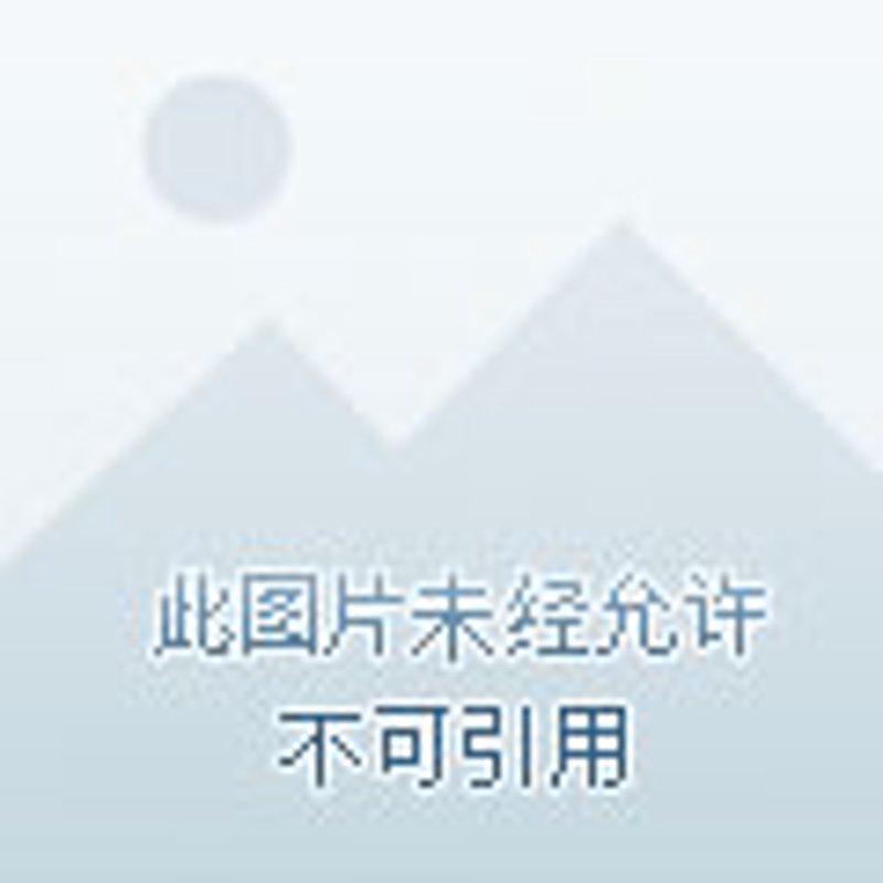 展览展示公司的经营范围五花八门，你了解多少？